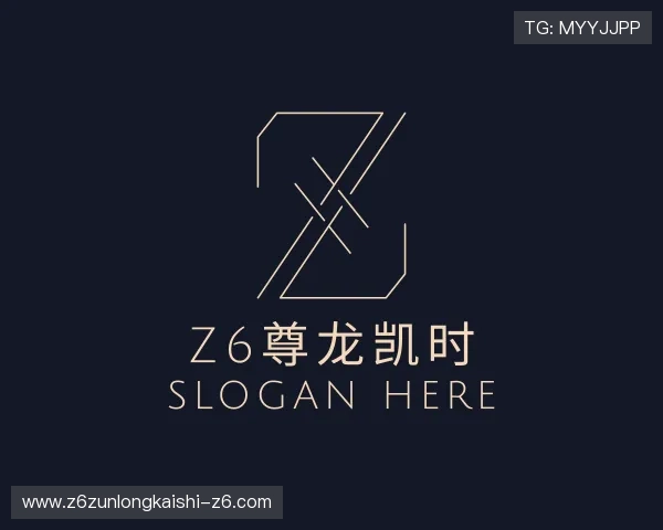 了解z6尊龙凯时
